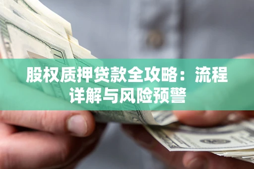 武汉股权质押贷款全攻略：流程详解与风险预警