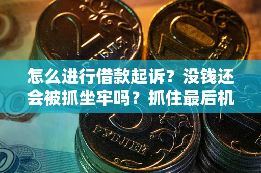 武汉怎么进行借款起诉？没钱还会被抓坐牢吗？抓住最后机会！