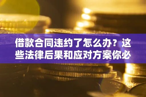武汉借款合同违约了怎么办？这些法律后果和应对方案你必须知道