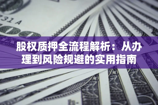 武汉股权质押全流程解析：从办理到风险规避的实用指南