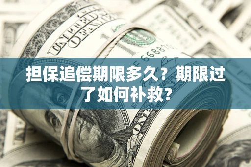 武汉担保追偿期限多久？期限过了如何补救？