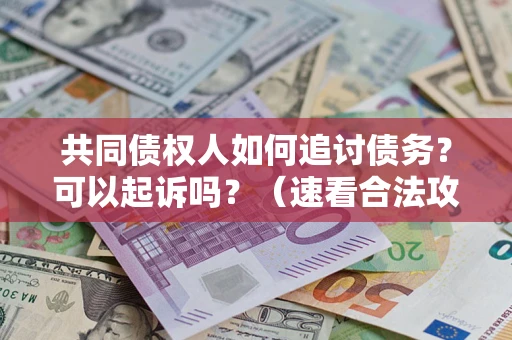 武汉共同债权人如何追讨债务？可以起诉吗？（速看合法攻略）