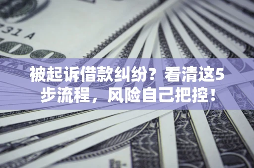 武汉被起诉借款纠纷？看清这5步流程，风险自己把控！