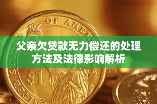 武汉父亲欠贷款无力偿还的处理方法及法律影响解析