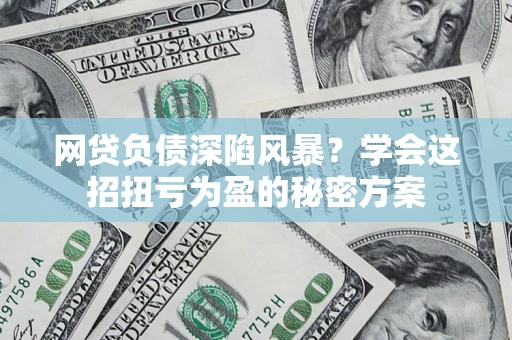 武汉网贷负债深陷风暴？学会这招扭亏为盈的秘密方案